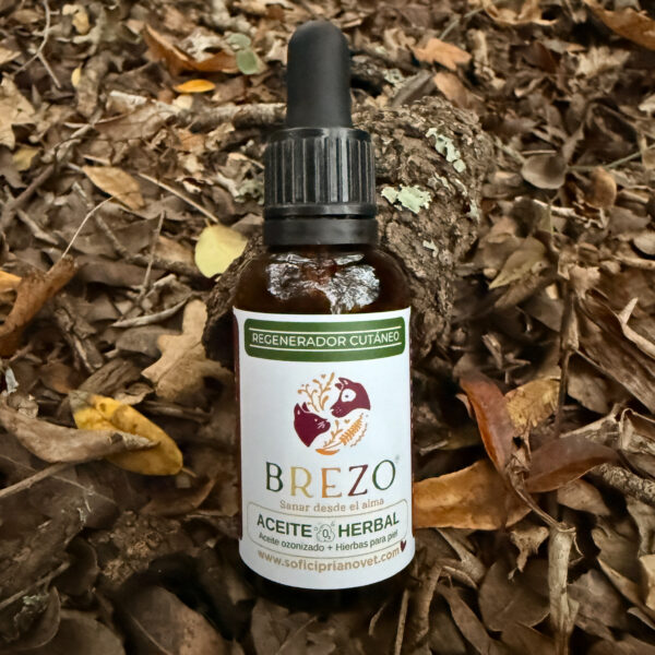 Aceite Ozonizado + Plantas Medicinales