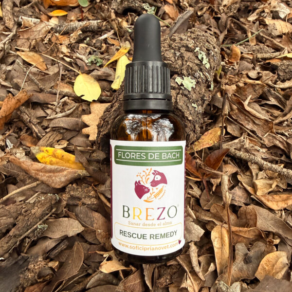 Flores de Bach Emergencias - Rescue Remedy