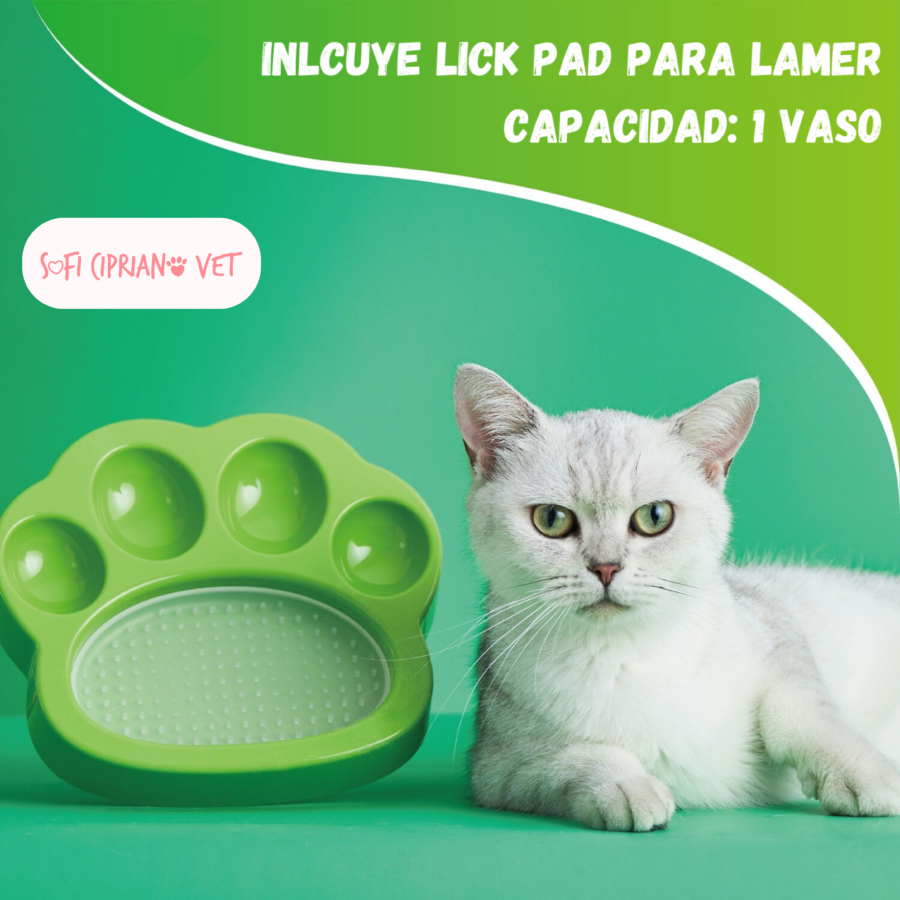 Paw 2 en 1 Mini Verde