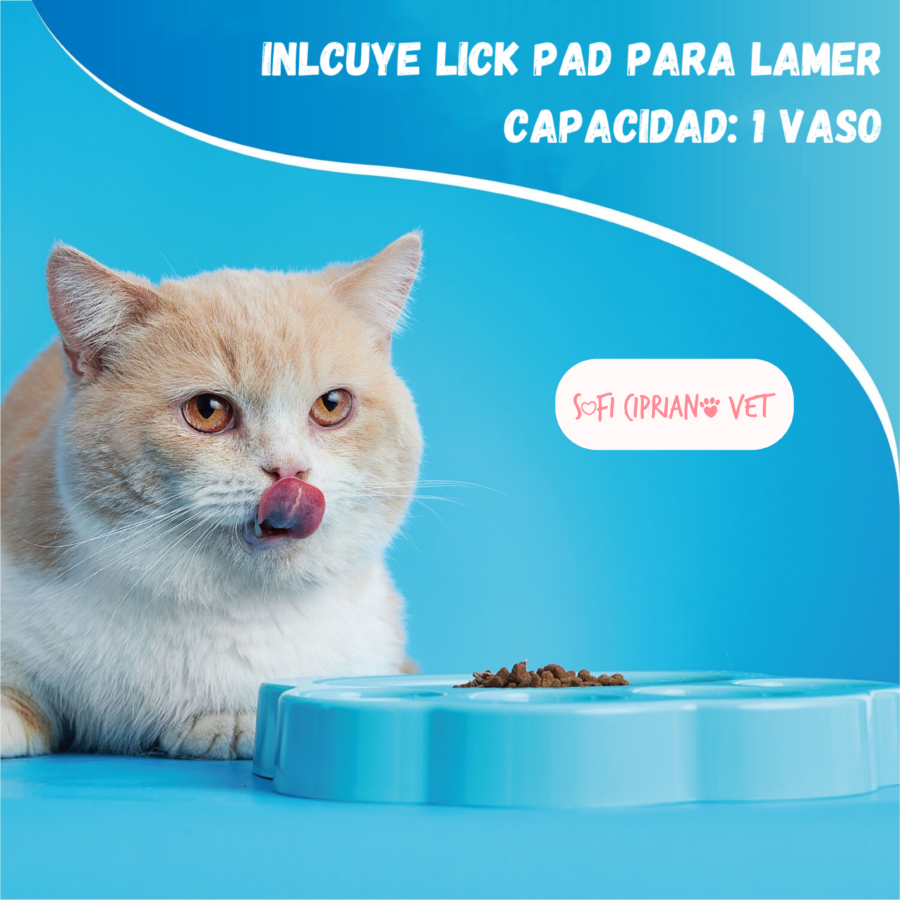 Paw 2 en 1 Mini Celeste