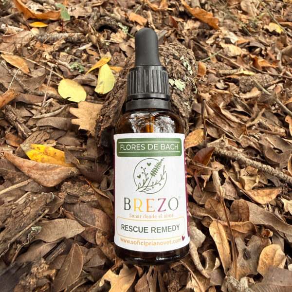 Flores de Bach Rescue Remedy