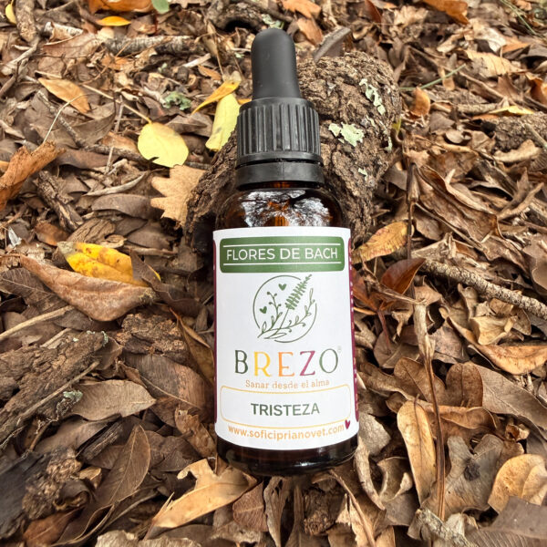 Flores de Bach Tristeza